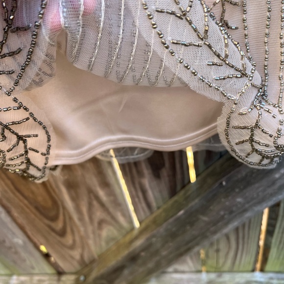 Sue Wong Tan and Gold Beaded Dress - Picture 6 of 13